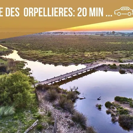 Centre Historique - Free Parking - Self Checkin - Wifi - Industriel - Sleepntripbeziers Apartment