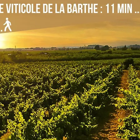 Centre Historique - Free Parking - Self Checkin - Wifi - Industriel - Sleepntripbeziers Apartment